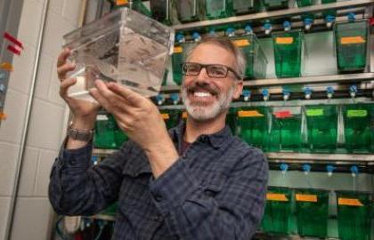 Posner studies zebrafish